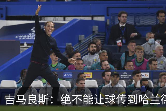 吉马良斯：绝不能让球传到哈兰德脚下，希望对位厄德高时能占上风